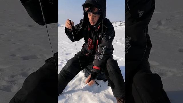 Удочка для блеснения, УЛ класса, тест по блеснам от 0,5 гр. смотреть онлайн