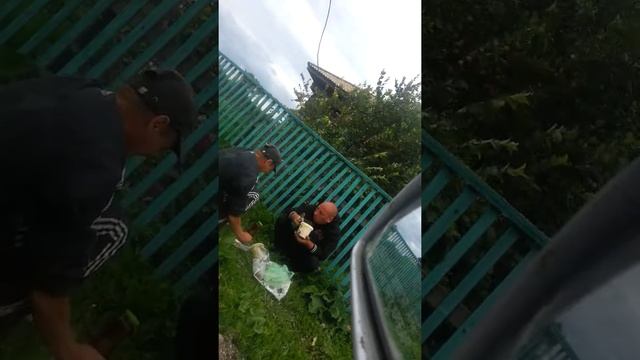 у парней клёвый обед смотреть онлайн