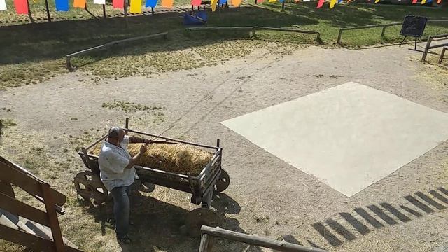 ОЛЕГ ГРИГОРЬЕВ. СТРЕЛЬБА ИЗ ЛУКА У 700 ЛЕТНЕГО ЗАПОРОЖСКОГО ДУБА смотреть онлайн