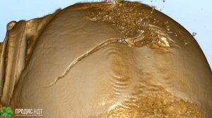 Видео КЛКТ реконструкции утиной головы