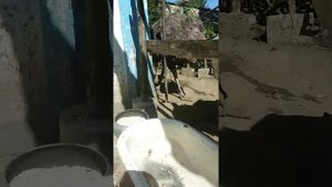 Африканские страусы едят мышей