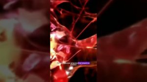 🧠💪 Здоровый образ жизни как ключ к психическому благополучию 💪🧠