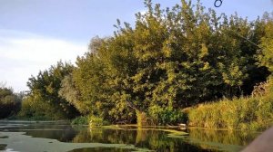 По тропам Олега Сизона-наступая на пятки. #поддержка #помощь #рыбалка #туризм #fishing #bass #perch