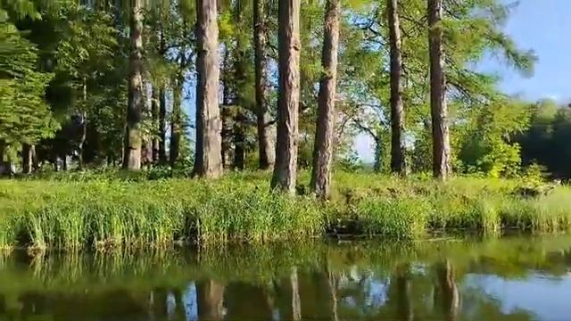 Прогулки на лодке))) смотреть онлайн