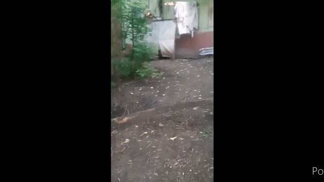 пришли в заброшеные дома там кого-то убили