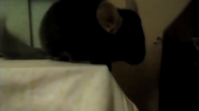 Типа Шушик дома. смотреть онлайн