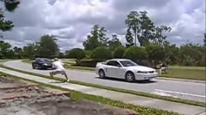 Прикол   невидимая веревка