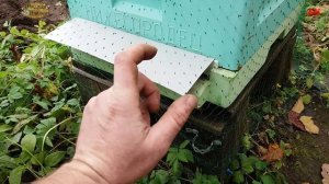 пчеловодство защита от синиц, недостатки ульев лысонь