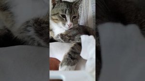 МЯТИК ПРИНИМАЕТ ВАННУ!