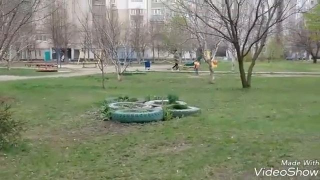 Играем с кошечкой) Влог | Супер красивая кошка| смотреть онлайн