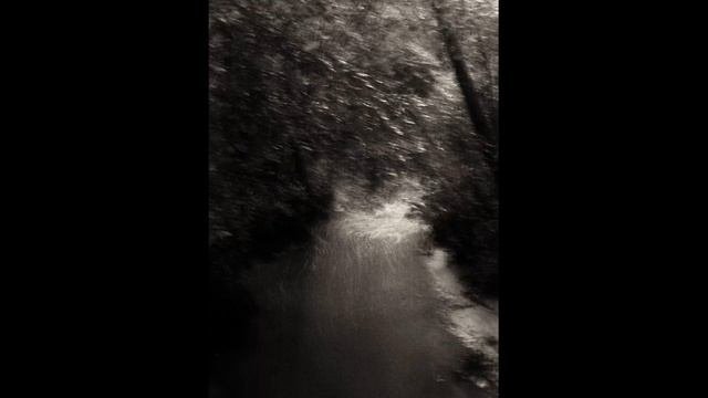 Marifa - Tajalli