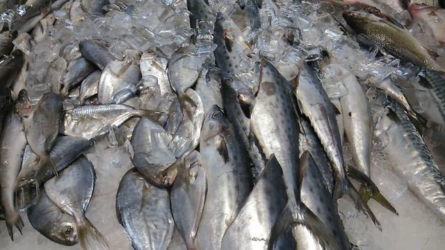 Where we are? China Or Florida? November 1, 2022 смотреть онлайн