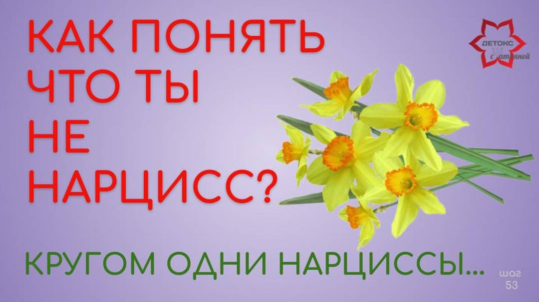 Кругом одни нарциссы! Как понять, что ты не нарцисс или не нарцисска?!