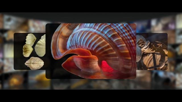 Цифровой Зоологический музей тизер смотреть онлайн