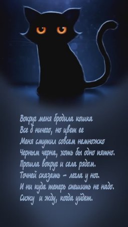 Черная кошка