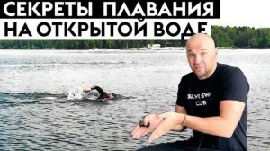 Плавание кролем на открытой воде. Как плыть быстрее своих соперников?