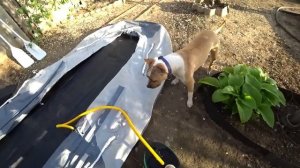 не покупай лодку пока не посмотришь это видио