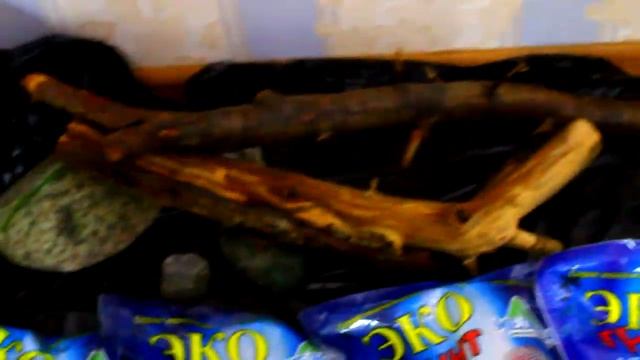 Перезапуск 120 литрового аквариума 2 часть смотреть онлайн