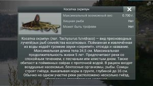 1)Как поймать косатку скрипун в My fishing world