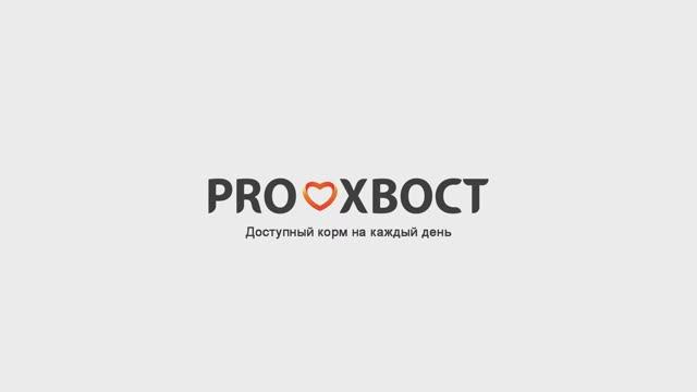 Знакомьтесь - корм для кошек PROХВОСТ