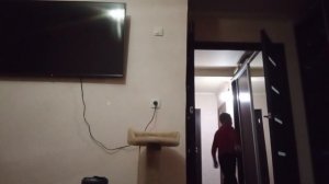 часть брюсли из 8 части