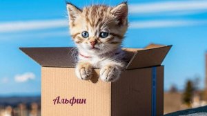 Распаковка маршрутизатора Альфин Wi-Cat  AX. Что в коробке?