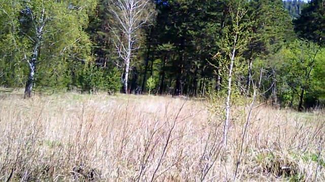 бывшая станция Кашмир. смотреть онлайн