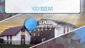 Что посеял
