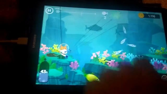 Кот на рыбалке поймал 2 новых рыбы смотреть онлайн