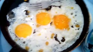 Правильное питание! Завтрак качка.