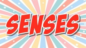 Five Senses Song | Nursery Rhymes | Simple Songs For Kids |