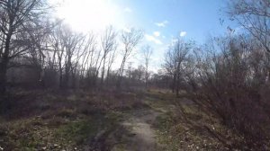 2020-03-13 Kyiv Obolon grasslands Verbliud Gulf Київ Оболонські луки затока Верблюд Лукове озеро