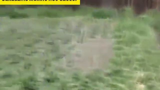 Цвета удобрений