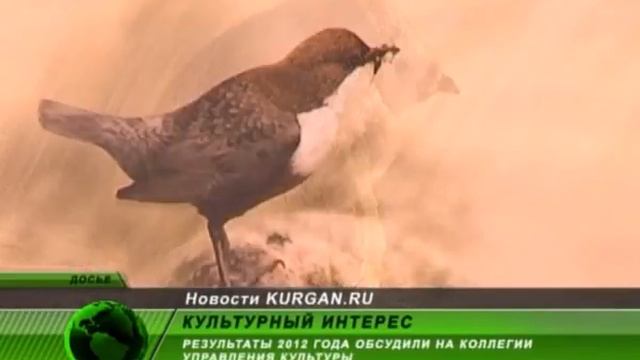 Итоги культуры смотреть онлайн