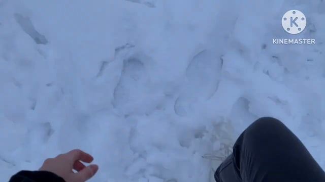 Vlog / Красим двери / Двухметровый снеговик / Жуткий мороз / Влог Россия