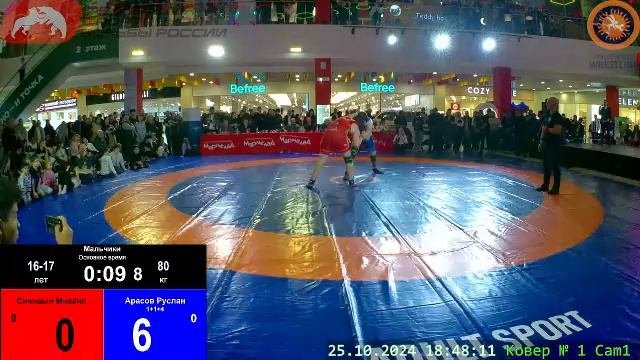 Фестиваль спортивной борьбы