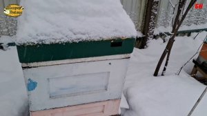 зимовка пчел, хорошая зимовка, как настроил вентиляцию в этом году