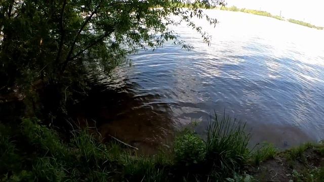 Химкинское водохранилище летом