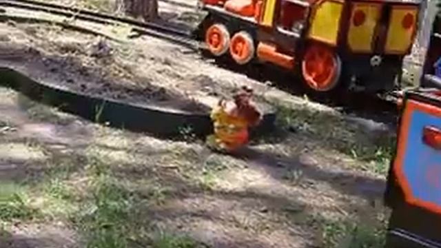 парк,паровоз смотреть онлайн