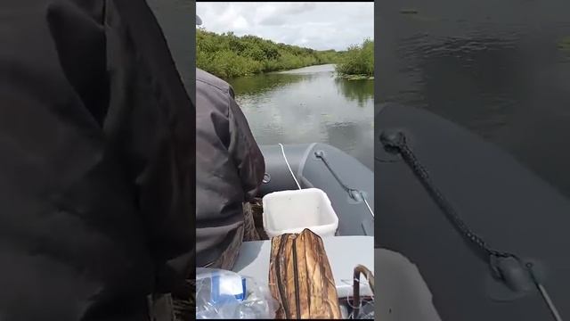 Продолжаем Нашу Рыбалку...Меняем Место Дислокации для Ловли рыбы на Поплавочную удочку смотреть онлайн