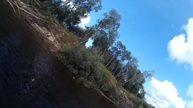 рыболовный турнир в Вогваздино 19.08.18 второй день . второй щукарёк у Жени смотреть онлайн