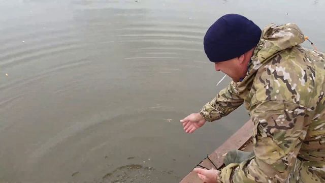 Платный водоём. Рыбалка удалась. Платный пруд смотреть онлайн
