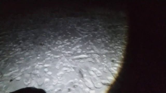 Отключение света в Украине | выгуливаю собаку с фонариком смотреть онлайн