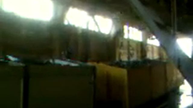 Как птицы в наше время добывают себе еду смотреть онлайн