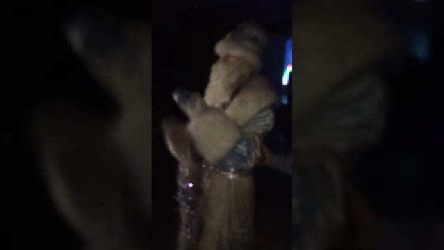 Дед Мороз отжигает смотреть онлайн