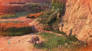 Horizon Запретный Запад_ч.95_ Долина павших (побочное, окончание). Третья приманка для машин.