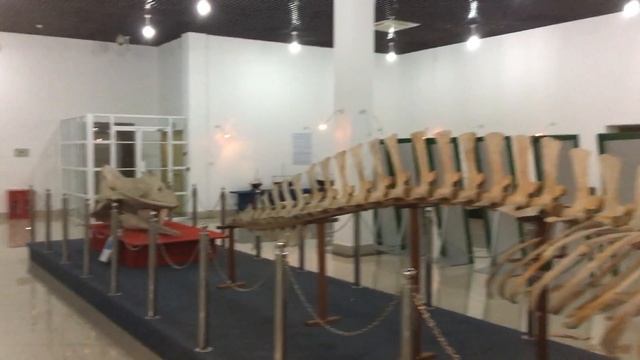 Мале.Мальдивы.Национальный Музей.Январь 2017.2 смотреть онлайн