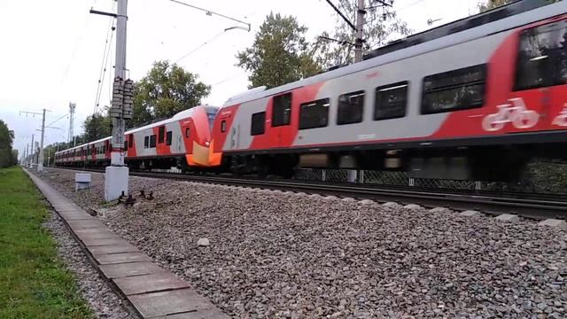 Приветливый Сдвоенный электропоезд ЭС2Г-Ласточка на перегоне Удельная-Озерки смотреть онлайн