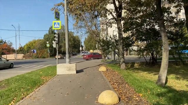 Царицыно: улица Бехтерева (2020)