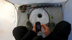 Ловля окуня на Оби